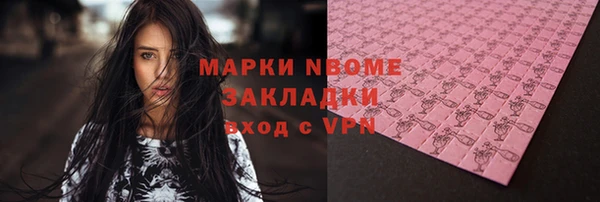 СК Алексин