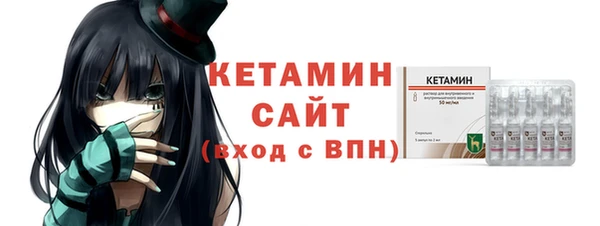 СК Алексин