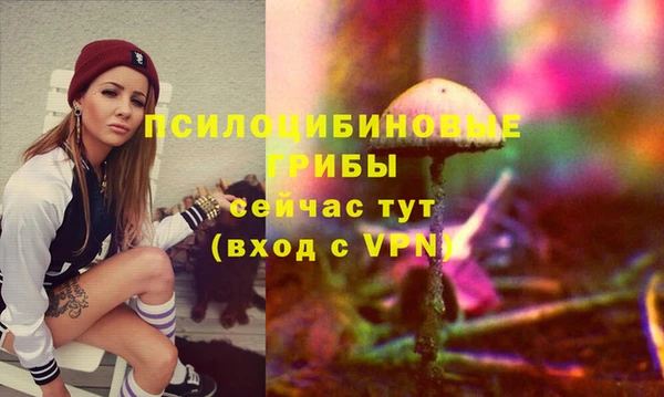 прущие грибы Алексеевка