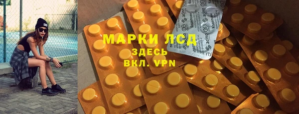 прущие грибы Алексеевка