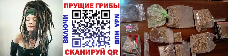 Псилоцибиновые грибы мухоморы  hydra как войти  Рубцовск  магазин продажи  